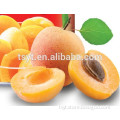 canned yellow peach halves high quality. low price